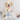 Personalized Pet Collar with Custom Name – AirTag Compatible & Line Art Design